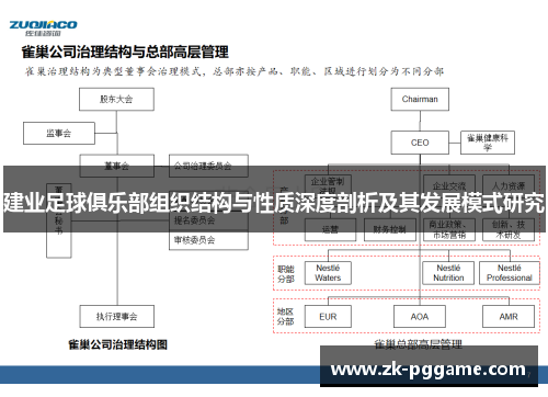 建业足球俱乐部组织结构与性质深度剖析及其发展模式研究