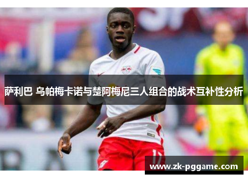 萨利巴 乌帕梅卡诺与楚阿梅尼三人组合的战术互补性分析
